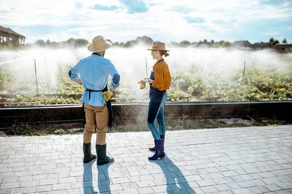 Man en vrouw op de landbouwgrond voor slakken die buiten groeien — Stockfoto