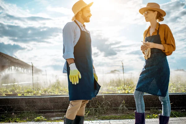 Homem e mulher nas terras agrícolas — Fotografia de Stock