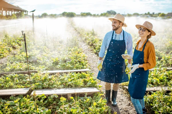 Hombre y mujer en el campo para caracoles que crecen al aire libre —  Fotos de Stock
