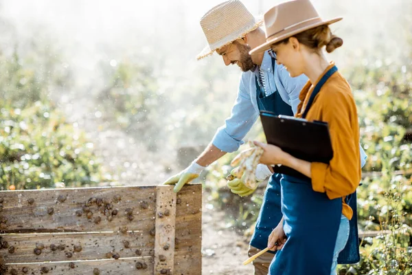 Hombre y mujer en el campo para caracoles que crecen al aire libre —  Fotos de Stock