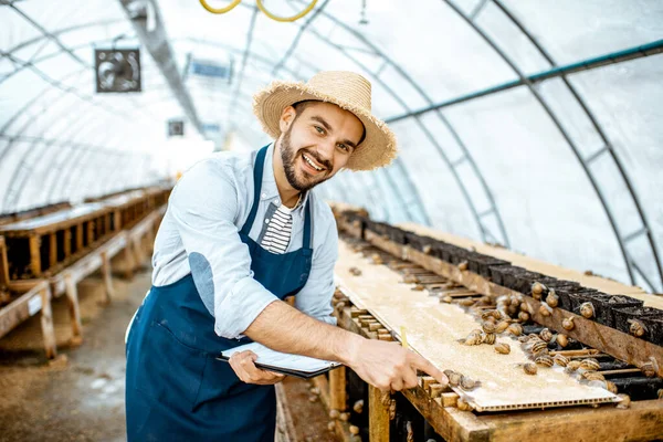 Фермер, що працює на фермі з равликами — стокове фото