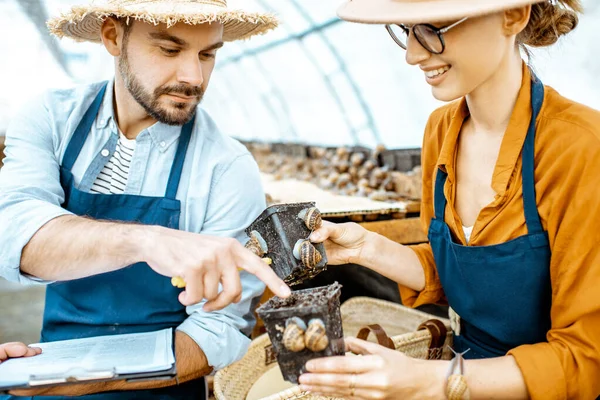 Man och kvinna arbetar på gården för sniglar växer — Stockfoto