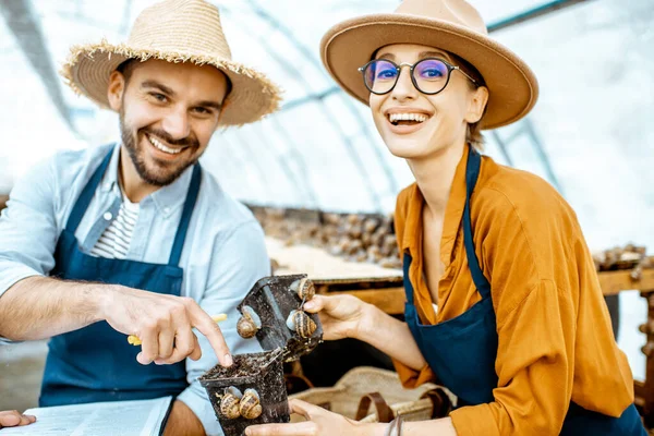 Hombre y mujer trabajando en la granja para caracoles que crecen — Foto de Stock