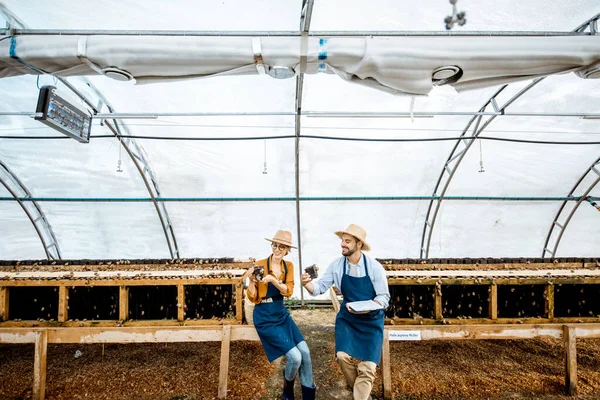 Muž a žena pracující na farmě pro šneky rostoucí — Stock fotografie