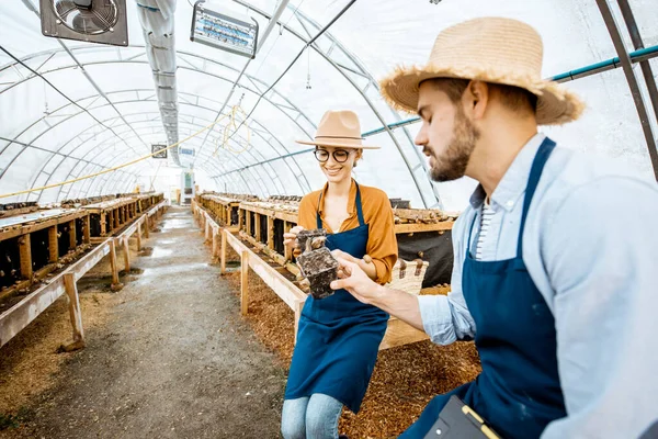 Mężczyzna i kobieta pracujący na farmie dla ślimaków rosnących — Zdjęcie stockowe