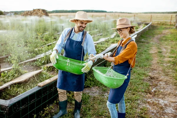 Trabajadores de las tierras de cultivo para caracoles en crecimiento — Foto de Stock