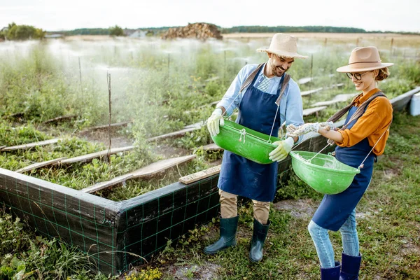 Trabajadores de las tierras de cultivo para caracoles en crecimiento — Foto de Stock
