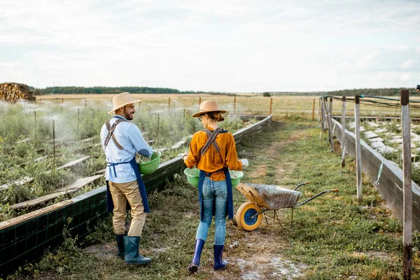 Twee arbeiders op de landbouwgrond buiten — Stockfoto