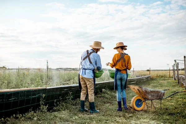 Två arbetare på jordbruksmark utomhus — Stockfoto