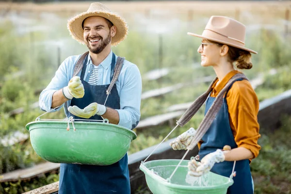 Workers on the farmland for growing snails — Stock Photo, Image