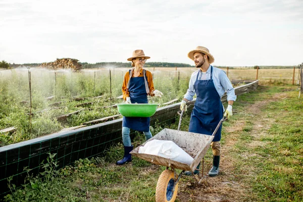 Dois trabalhadores nas terras agrícolas ao ar livre — Fotografia de Stock