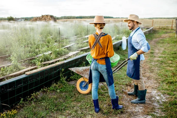 Arbeiter auf dem Ackerland für die Schneckenzucht — Stockfoto