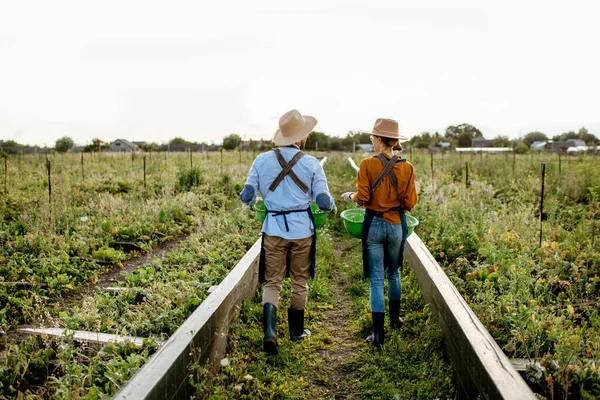 Twee arbeiders op de landbouwgrond buiten — Stockfoto