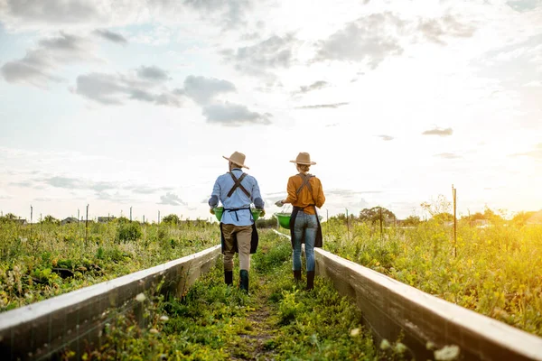 Twee arbeiders op de landbouwgrond buiten — Stockfoto