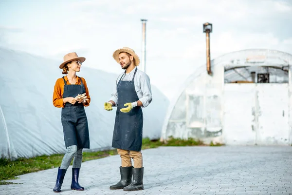 Twee boeren op een boerderij met hothouses outdooors — Stockfoto