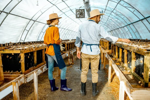 Man en vrouw werken op de boerderij voor slakken groeien — Stockfoto