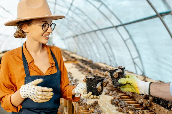 Mulher trabalhando na fazenda com caracóis — Fotografia de Stock