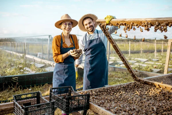 Agricultores con caracoles en una granja al aire libre — Foto de Stock