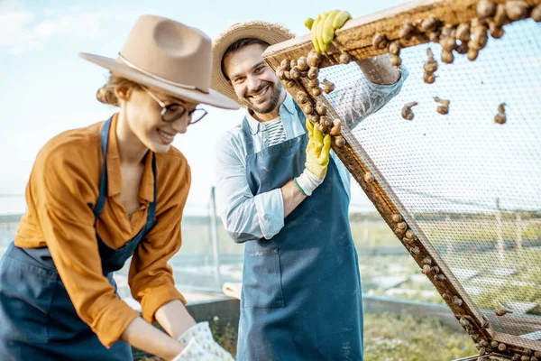 Boeren met slakken op een boerderij buiten — Stockfoto