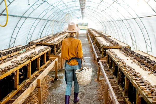 Mujer en una granja para caracoles creciendo —  Fotos de Stock