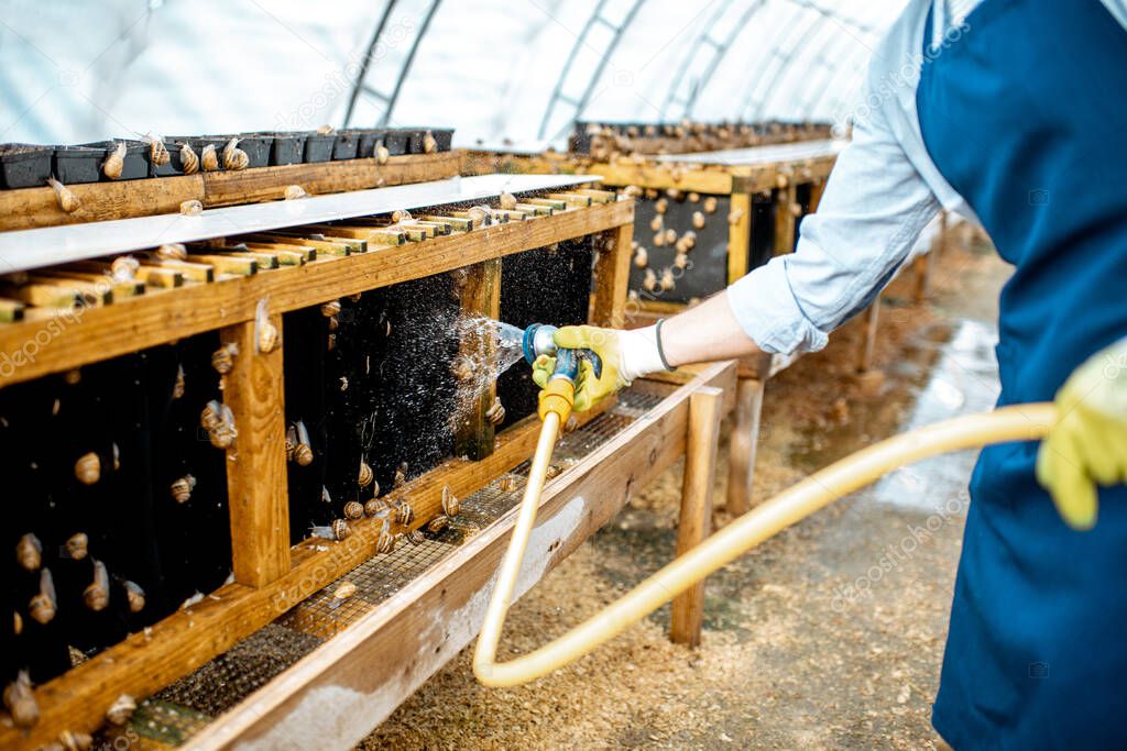 Man working on a farm with snails