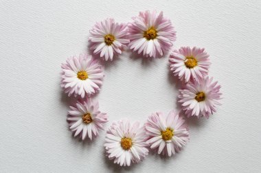 Beyaz kumaşın üzerinde kasımpatı çemberi