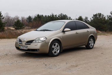Nissan Primera 2002, Altın Renk, Ormanda Otopark, Seyahat Durağı