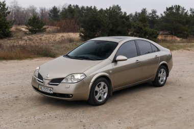 Nissan Primera 2002, Altın Renk, Ormanda Otopark, Seyahat Durağı