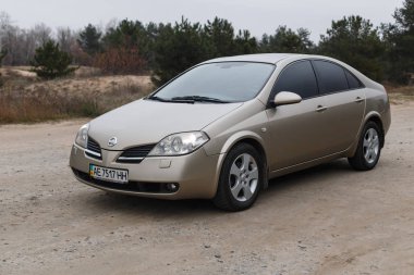 Nissan Primera 2002, Altın Renk, Ormanda Otopark, Seyahat Durağı