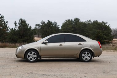 Nissan Primera 2002, Altın Renk, Ormanda Otopark, Seyahat Durağı