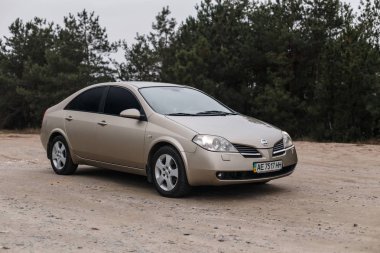 Nissan Primera 2002, Altın Renk, Ormanda Otopark, Seyahat Durağı