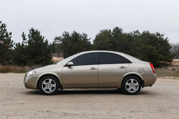 Nissan Primera 2002, Gyllene färg, Parkering I skogen, Resor — Stockfoto