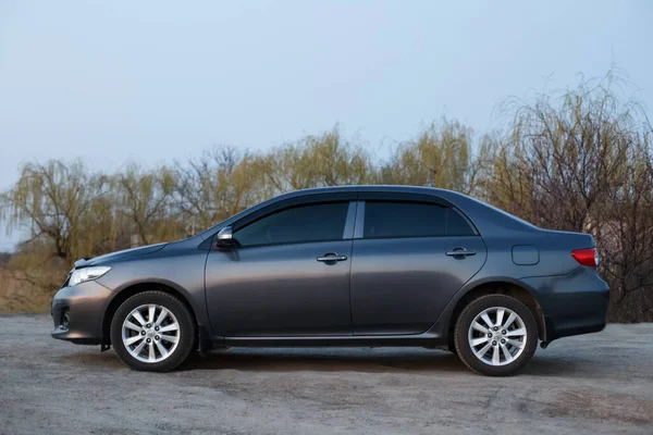 Oleksandrivka Dnipropetrovsk Region Ukraina Mars 2020 Toyota Corolla Grå Färg — Stockfoto