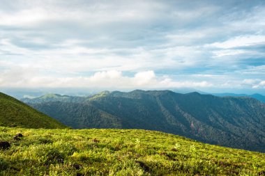 Dağ ufkundaki bulut katmanlarında yeşil çimen görüntüsü doğanın inanılmaz güzelliğini ve sanatını gösteriyor. Bu görüntü Karnataka Hindistan 'da tepeden çekildi..
