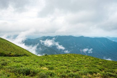 Dağ ufkundaki bulut katmanlarında yeşil çimen görüntüsü doğanın inanılmaz güzelliğini ve sanatını gösteriyor. Bu görüntü Karnataka Hindistan 'da tepeden çekildi..