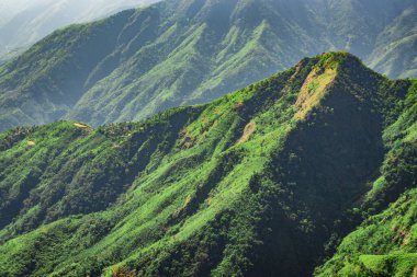 Tepe sırasının güzel doğal manzarasını gösteren beyaz sisli bir dağ silsilesiyle kaplı. Görüntü Latilum Peak Shillong Meghalaya Hindistan 'da çekilmiştir..