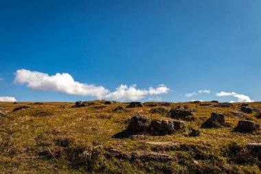 Mavi gökyüzü duvar kağıdıyla sarı çimen tarlası yazı için alanı terk ederek tepenin güzel doğal manzarasını gösteriyor. Görüntü Latilum Peak Shillong Meghalaya Hindistan 'da çekilmiştir..