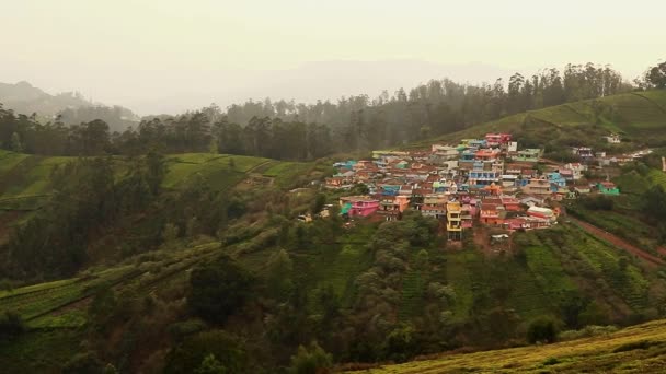 位于Ooty India一个西部村庄山麓的一个小村庄 绿茶种植园成排 景色令人惊奇 — 图库视频影像