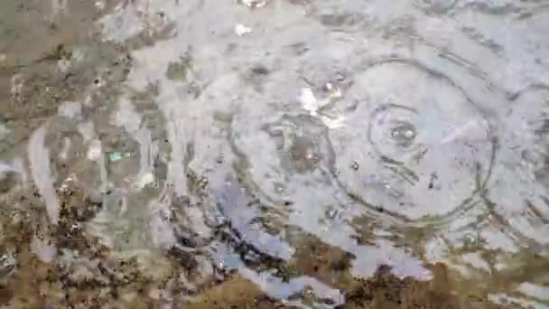 Gotas Agua Que Caen Sobre Agua Clip Lluvia Que Muestra — Vídeos de Stock