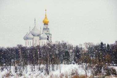 vologda içinde St. sophia Katedrali