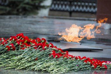 Çiçekler karanfil memorial ebedi ateşe koymak