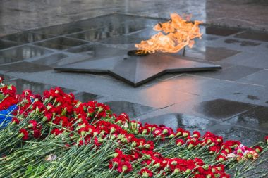 Çiçekler karanfil memorial ebedi ateşe koymak