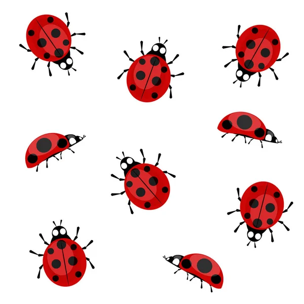 Ladybugs σε λευκό φόντο — Διανυσματικό Αρχείο