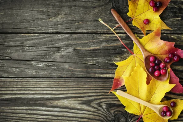 çilek, kızılcık ve bir tahta kaşık akçaağaç yaprağı üzerinde