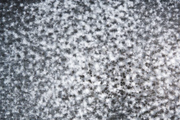 Arka plan için kumaş üzerinde yüksek yoğunluklu küf — Stok fotoğraf