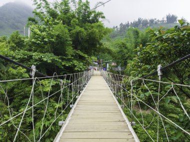 Sapa Köyü, Vietnam ormanda Bridge'de