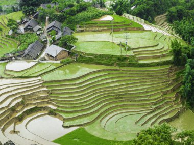 Vietnam sapa sokak görünümü