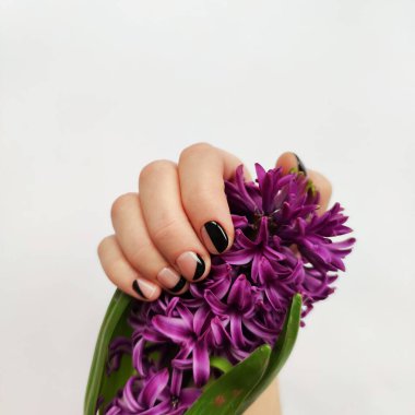 Manikür manikürlü, leylak kaplamalı ve beyaz arka planda sümbül çiçekli genç kadın elleri..