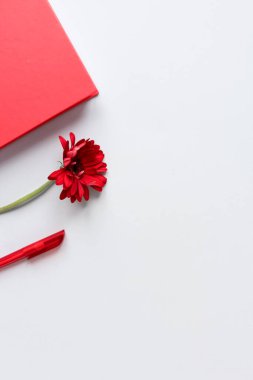 Dümdüz uzanmış, üst kattaki ofis masasında yazı masası. Kırmızı defterli, kırmızı kalemli ve gri arka planda kırmızı çiçekli kadın masa başı işyeri.