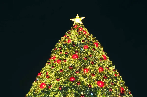 Christmas tree — Stock Photo, Image